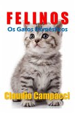 Os Felinos (eBook, PDF)