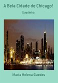 A Bela Cidade De Chicago! (eBook, PDF)