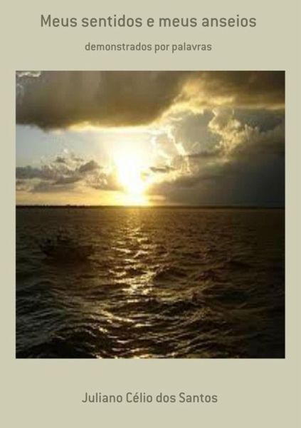 Meus Sentidos E Meus Anseios (eBook, PDF)