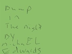 Cover Bump in the Night (eBook, ePUB)