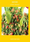 Sahtain (eBook, PDF)