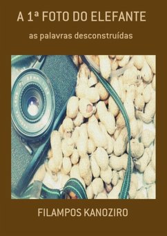 Cover A 1ª Foto Do Elefante (eBook, PDF)