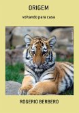 Origem (eBook, PDF)