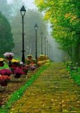 Poesias Bíblicas Dos Salmos (eBook, PDF)