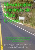 Mesorregião Nordeste De Mato Grosso (eBook, PDF)