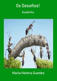Os Desafios! (eBook, PDF)