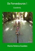 Os Fervedouros ! (eBook, PDF)
