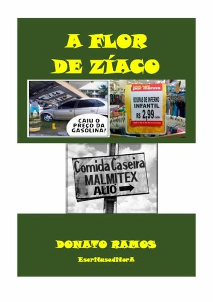 A Flor De Zíaco (eBook, PDF) A Flor De Zíaco (eBook, PDF)