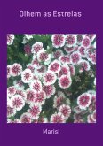 Olhem As Estrelas (eBook, PDF)