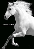 A Passagem (eBook, PDF)