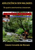 Adolescência Sem Maldades (eBook, PDF)