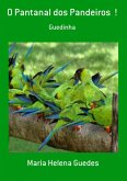 O Pantanal Dos Pandeiros ! (eBook, PDF)