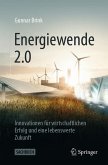 Energiewende 2.0 (eBook, PDF)