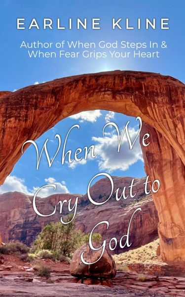 When We Cry Out to God: Desperation Points in the Bible (eBook, ePUB)