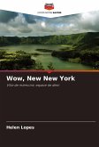 Wow, New New York Wow, New New York