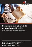 Struttura dei bilanci di Argentina e Brasile Struttura dei bilanci di Argentina e Brasile