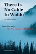 There Is No Cable In Waldo - Bild 1