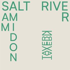 Cover Salt River