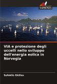 VIA e protezione degli uccelli nello sviluppo dell'energia eolica in Norvegia