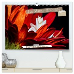 Cover La Mante Orchidée (Calendrier mural 2026 DIN A2 vertical) calendrier de bureau