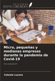 Micro, pequeñas y medianas empresas durante la pandemia de Covid-19