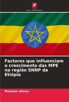 Cover Factores que influenciam o crescimento das MPE na região SNNP da Etiópia