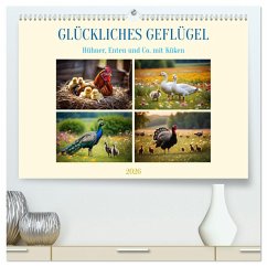 Cover Glückliches Geflügel (hochwertiger Premium Wandkalender 2026 DIN A2 quer), Kunstdruck in Hochglanz