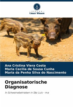 Cover Organisatorische Diagnose