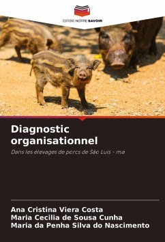 Cover Diagnostic organisationnel