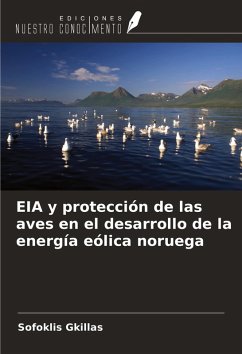 Cover EIA y protección de las aves en el desarrollo de la energía eólica noruega