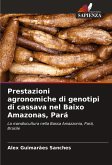 Prestazioni agronomiche di genotipi di cassava nel Baixo Amazonas, Pará