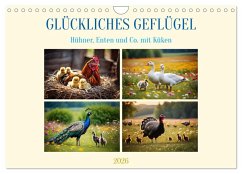 Cover Glückliches Geflügel (Wandkalender 2026 DIN A4 quer), CALVENDO Monatskalender