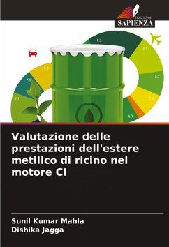 Cover Valutazione delle prestazioni dell'estere metilico di ricino nel motore CI