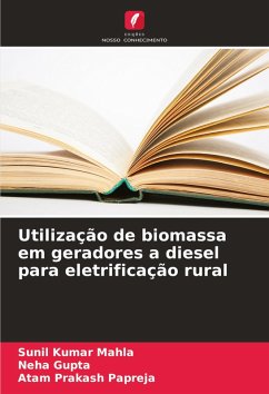 Cover Utilização de biomassa em geradores a diesel para eletrificação rural