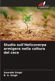 Studio sull'Helicoverpa armigera nella coltura del cece