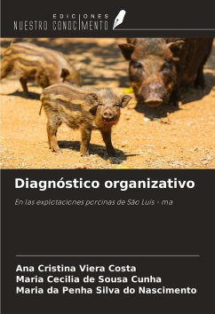 Cover Diagnóstico organizativo