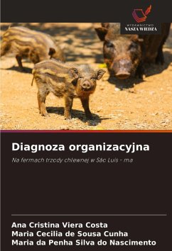Cover Diagnoza organizacyjna