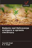 Badanie nad Helicoverpa armigera w uprawie ciecierzycy