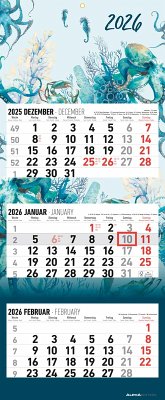 Cover 3-Monatskalender Design 2026 - Büro-Kalender 33x20 cm (geschlossen), 33x80 cm (geöffnet) - faltbar - mit Datumsschieber - Alpha Edition