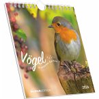 Vögel in unserem Garten 2026 - Postkartenkalender 16x17 cm