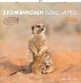 Alpha Edition - Erdmännchen 2026 Broschürenkalender, 30x30cm, Wandkalender mit Platz für Notizen und Termine, Motive von süßen Erdmännchen, Monatsübersicht und Ferientermine DE/AT/CH Alpha Edition - Erdmännchen 2026 Broschürenkalender, 30x30cm, Wandkalender mit Platz für Notizen und Termine, Motive von süßen Erdmännchen, Monatsübersicht und Ferientermine DE/AT/CH