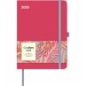 Sunset Coral 2026 - Diary -... - Bild 1