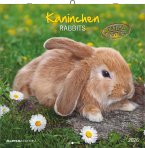 Kaninchen 2026 - Broschürenkalender 30x30 cm (30x60 geöffnet) - Kalender mit Platz für Notizen - Rabbits - Bildkalender - Wandplaner - Wandkalender Kaninchen 2026 - Broschürenkalender 30x30 cm (30x60 geöffnet) - Kalender mit Platz für Notizen - Rabbits - Bildkalender - Wandplaner - Wandkalender