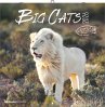 Big Cats 2026 - Broschürenkalender... - Bild 1