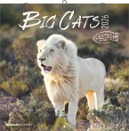 Big Cats 2026 - Broschürenkalender 30x30 cm (30x60 geöffnet) - Kalender mit Platz für Notizen - Big Cats - Bildkalender - Wandplaner - Alpha Edition Big Cats 2026 - Broschürenkalender 30x30 cm (30x60 geöffnet) - Kalender mit Platz für Notizen - Big Cats - Bildkalender - Wandplaner - Alpha Edition