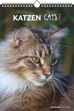 Cover Katzen 2026 - Bildkalender 23,7x34 cm - Kalender mit Platz für Notizen - mit vielen Zusatzinformationen - Cats - Wandkalender - Alpha Edition