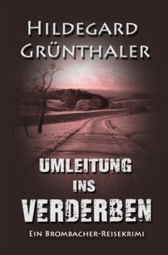 Cover Umleitung ins Verderben
