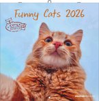 Funny Cats 2026 - Broschürenkalender 30x30 cm (30x60 geöffnet) - Kalender mit Platz für Notizen - Katzen - Bildkalender - Wandplaner - Katzenkalender