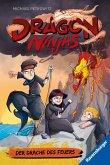 Der Drache des Feuers / Dragon Ninjas Bd.2