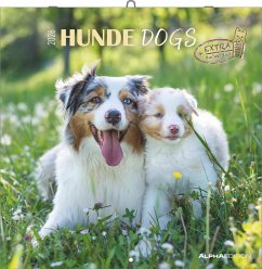Cover Hunde 2026 - Broschürenkalender 30x30 cm (30x60 geöffnet) - Kalender mit Platz für Notizen - Dogs - Bildkalender - Wandkalender - Hundekalender